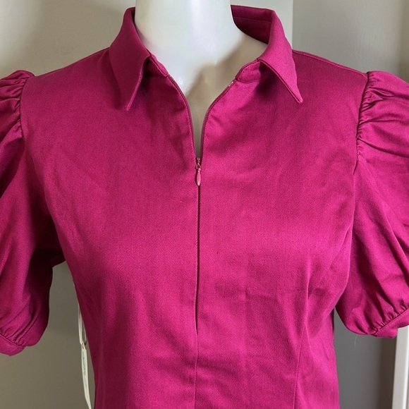 Tuckernuck HYACINTH HOUSE Raspberry Front Zip Denim Mini Dress Sz L NEW - Picture 6 of 14
